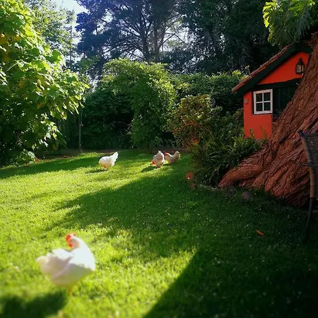 Дом отдыха Jardines De Hortensia - Vacation Tenerife