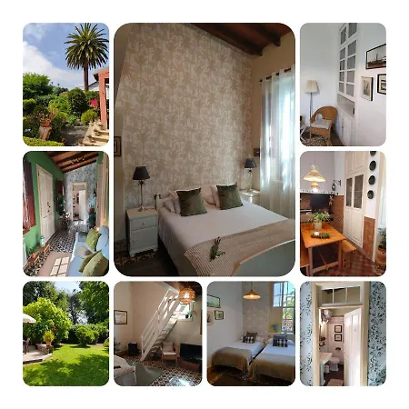 Jardines De Hortensia - Vacation Tenerife * Сан-Кристобаль-де-Ла-Лагуна